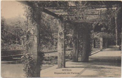 POSTAL ANTIGUA DE SEVILLA. PARQUE DE MARIA LUISA. EMPARRADO DEL PARQUE