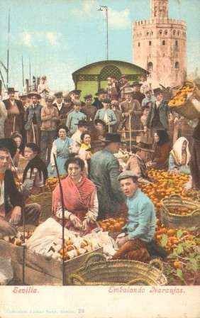 POSTAL ANTIGUA DE SEVILLA. EMBALANDO NARANJAS.