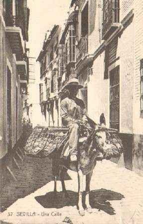 POSTAL ANTIGUA DE SEVILLA. UNA CALLE. Nº 37.