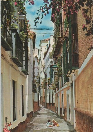 POSTAL SEVILLA BARRIO DE SANTA CRUZ CALLE DE LA PIMIENTA Nº 532