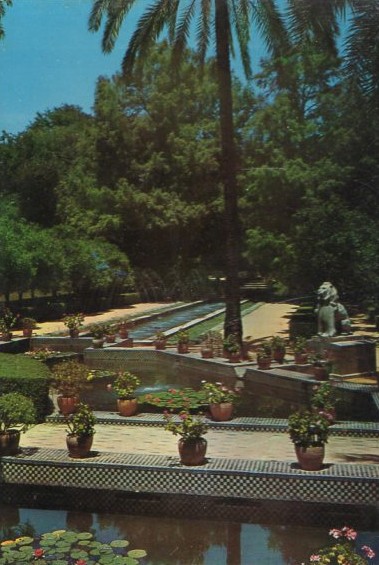 POSTAL SEVILLA PARQUE DE MARÍA LUISA Nº 135