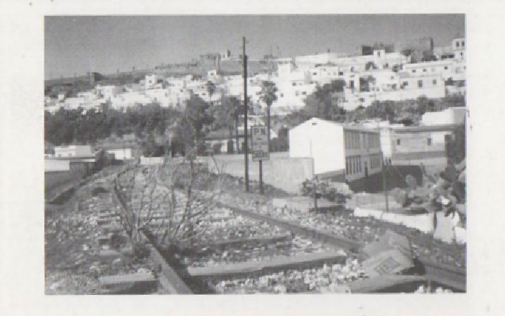 POSTAL FERROCARRIL (REPRODUCCIÓN)