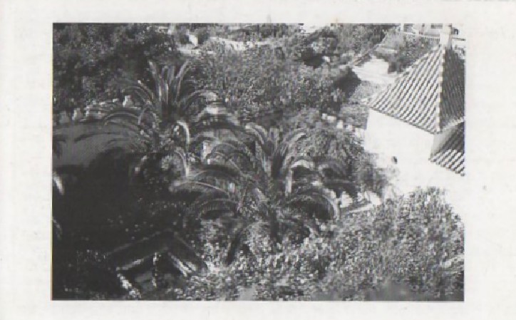 POSTAL JARDINES IBARRA (REPRODUCCIÓN)