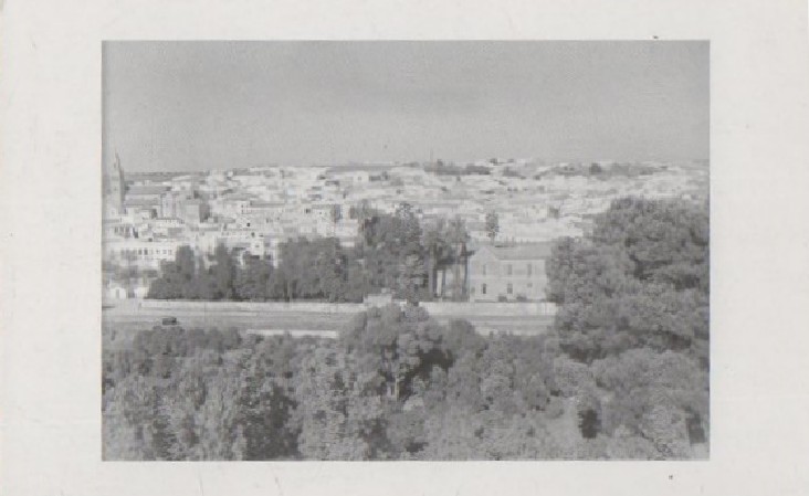 POSTAL VISTA DESDE EL CALVARIO (REPRODUCCIÓN)