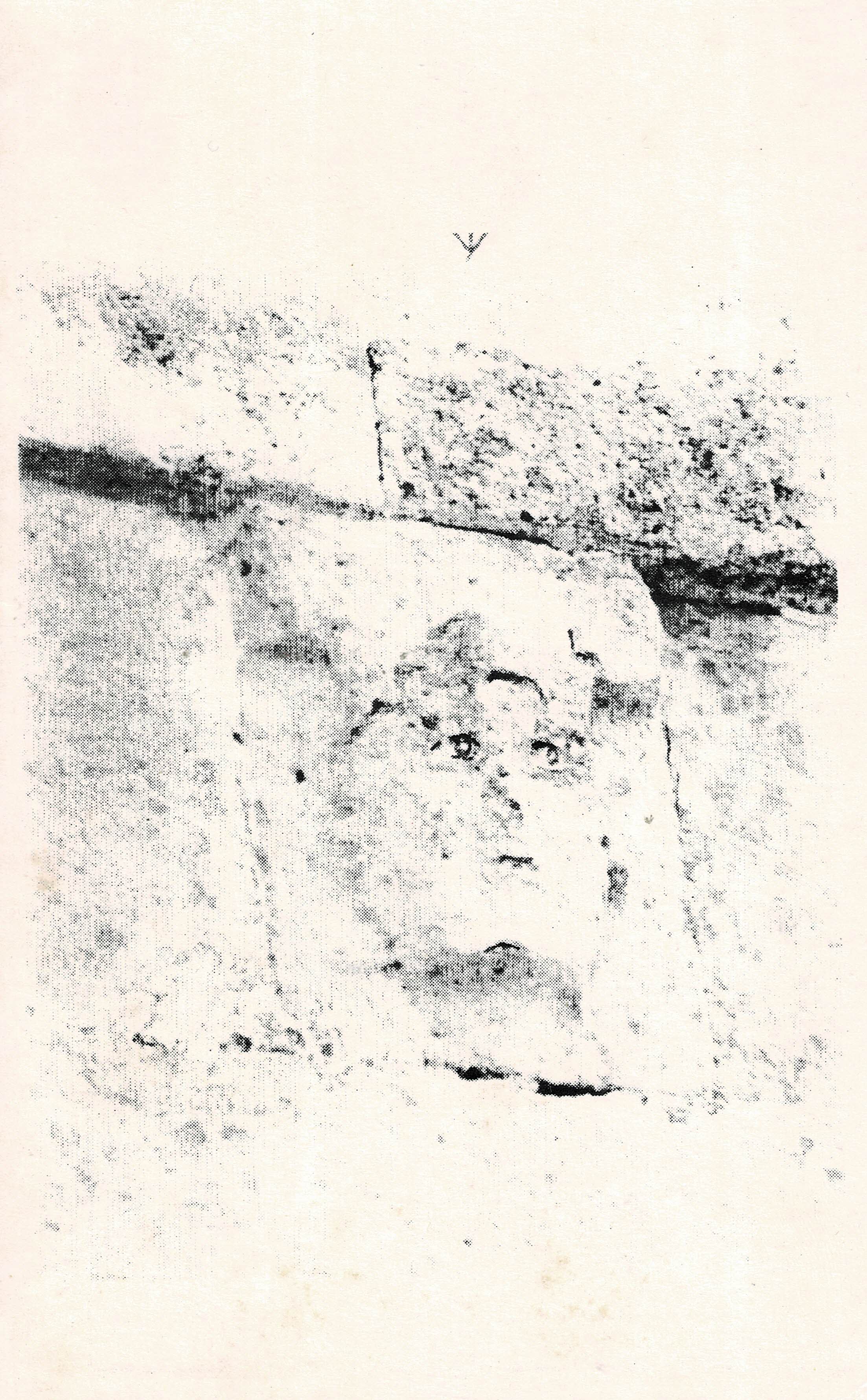 POSTAL DE ALCALA DE GUADAIRA. (REPRODUCCION): ROSTRO DE PIEDRA