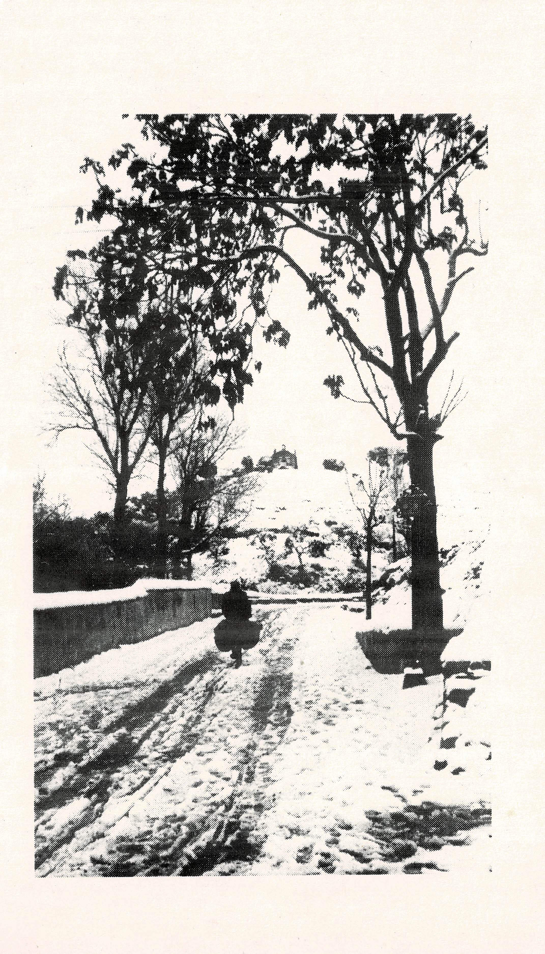 POSTAL DE ALCALA DE GUADAIRA. (REPRODUCCION): NEVADA DE 1954