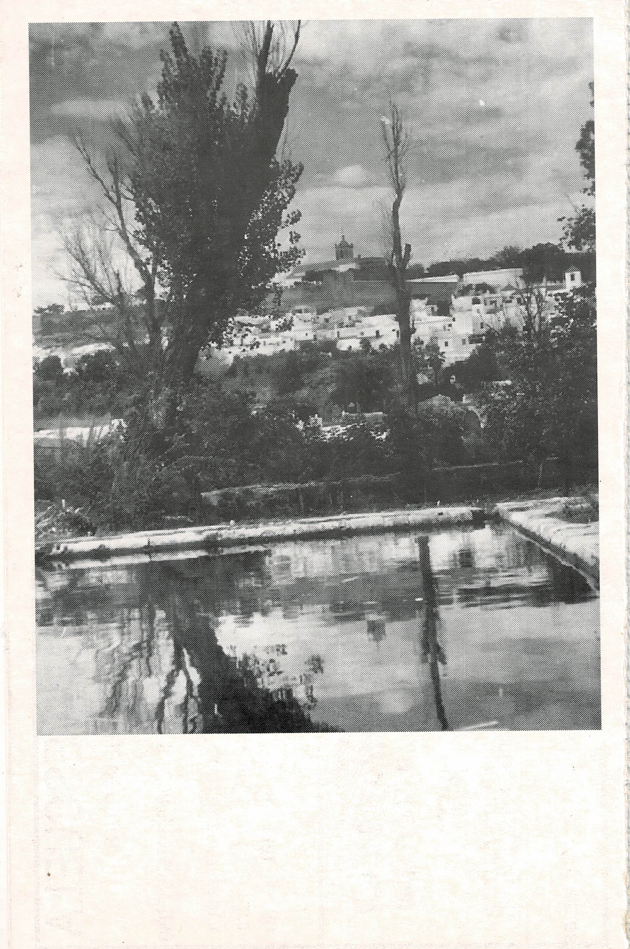 POSTAL DE ALCALA DE GUADAIRA. (REPRODUCCION): PAISAJE