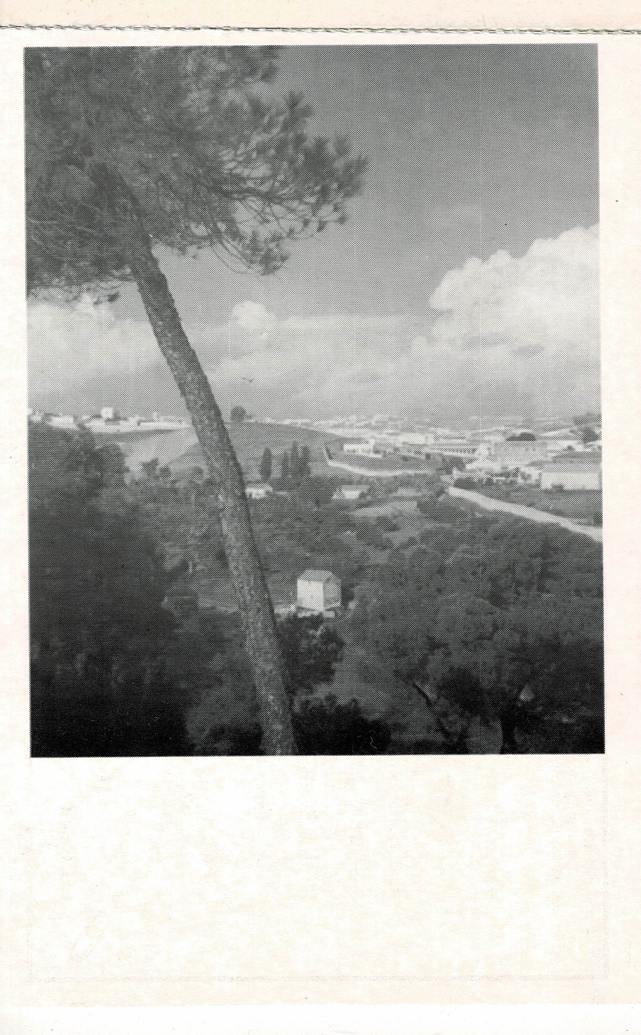 POSTAL DE ALCALA DE GUADAIRA. (REPRODUCCION): VISTA DESDE PINARES DE OROMANA