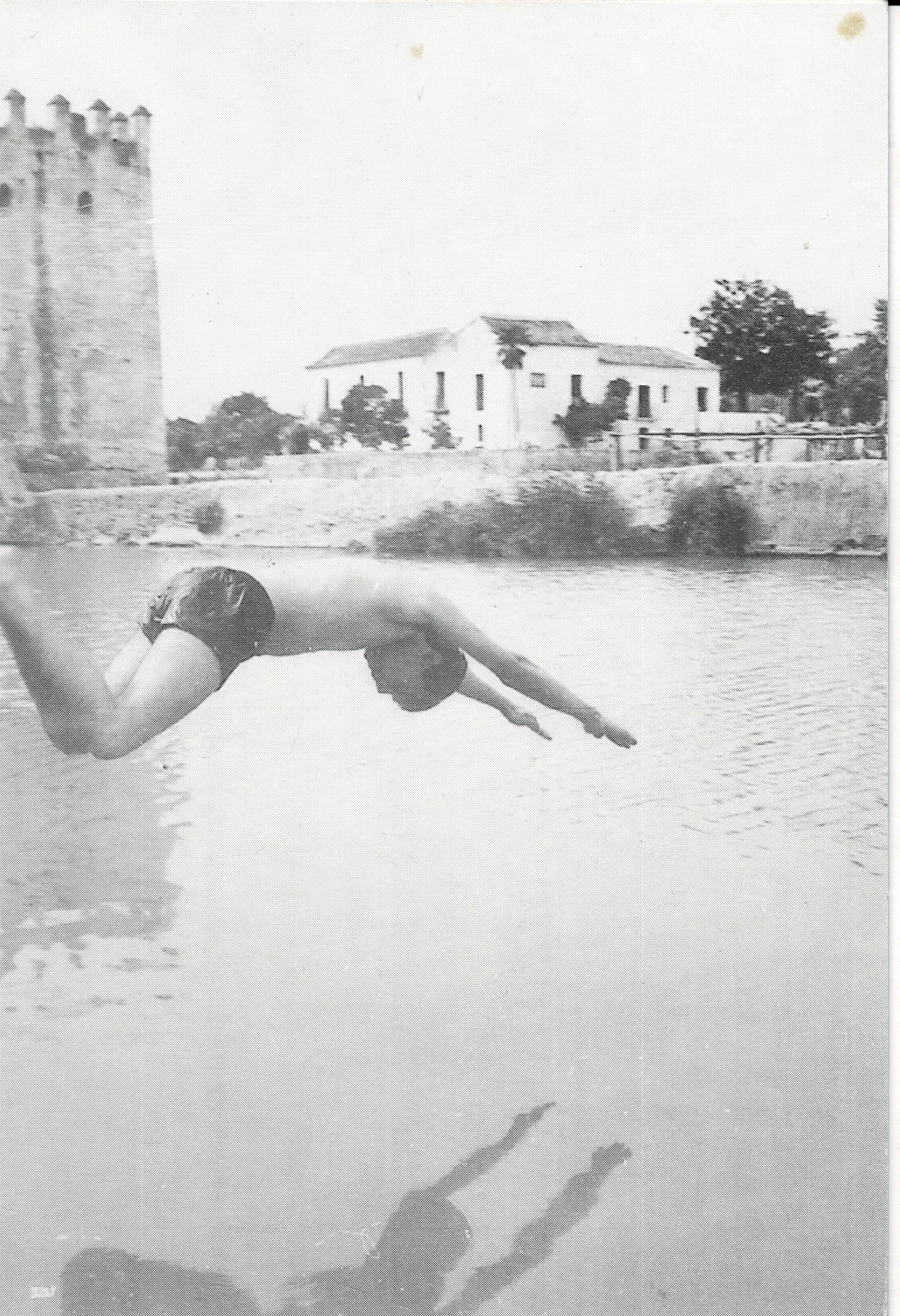 POSTAL DE ALCALA DE GUADAIRA. (REPRODUCCION): RIO