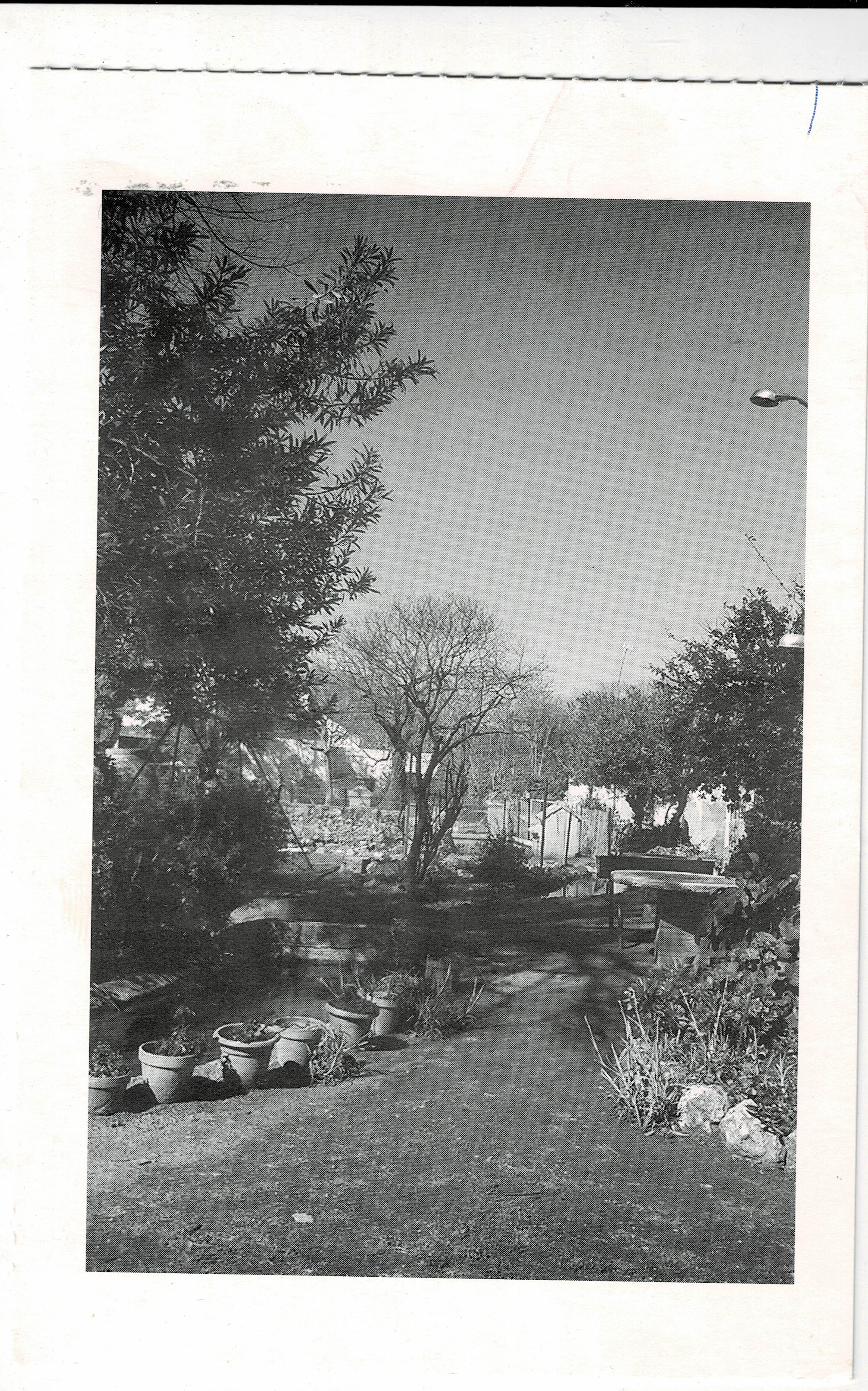 POSTAL DE ALCALA DE GUADAIRA. (REPRODUCCION): VISTA JARDIN DEL PALACIO DE GANDUL