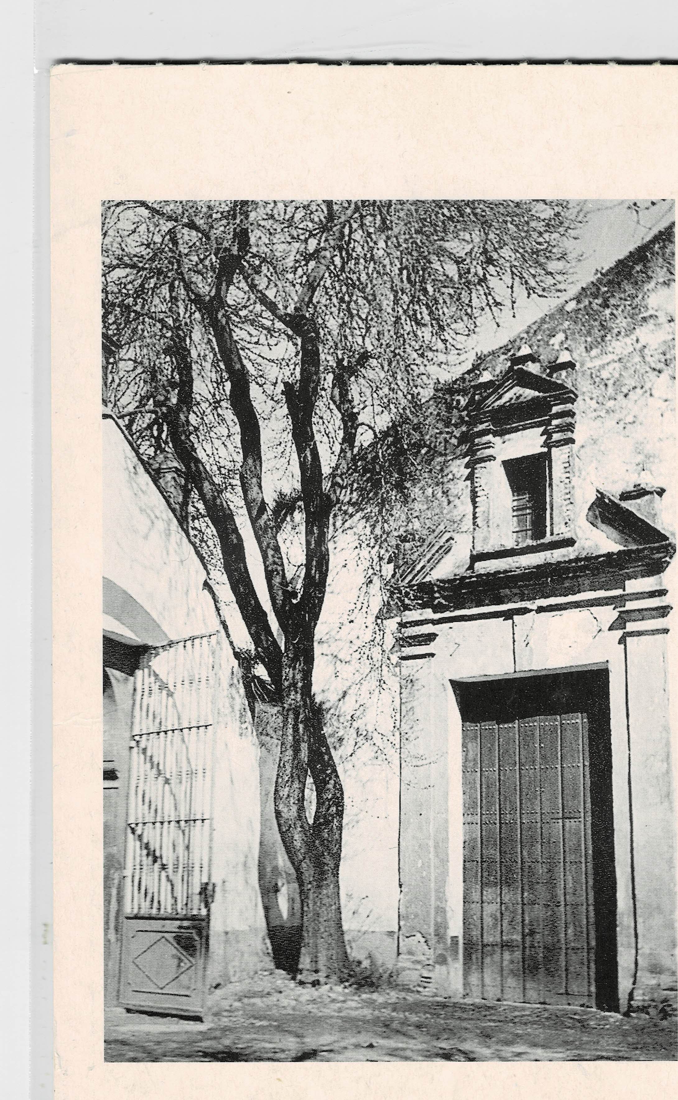 POSTAL DE ALCALA DE GUADAIRA. (REPRODUCCION): CONVENTO DE SAN FRANCISCO