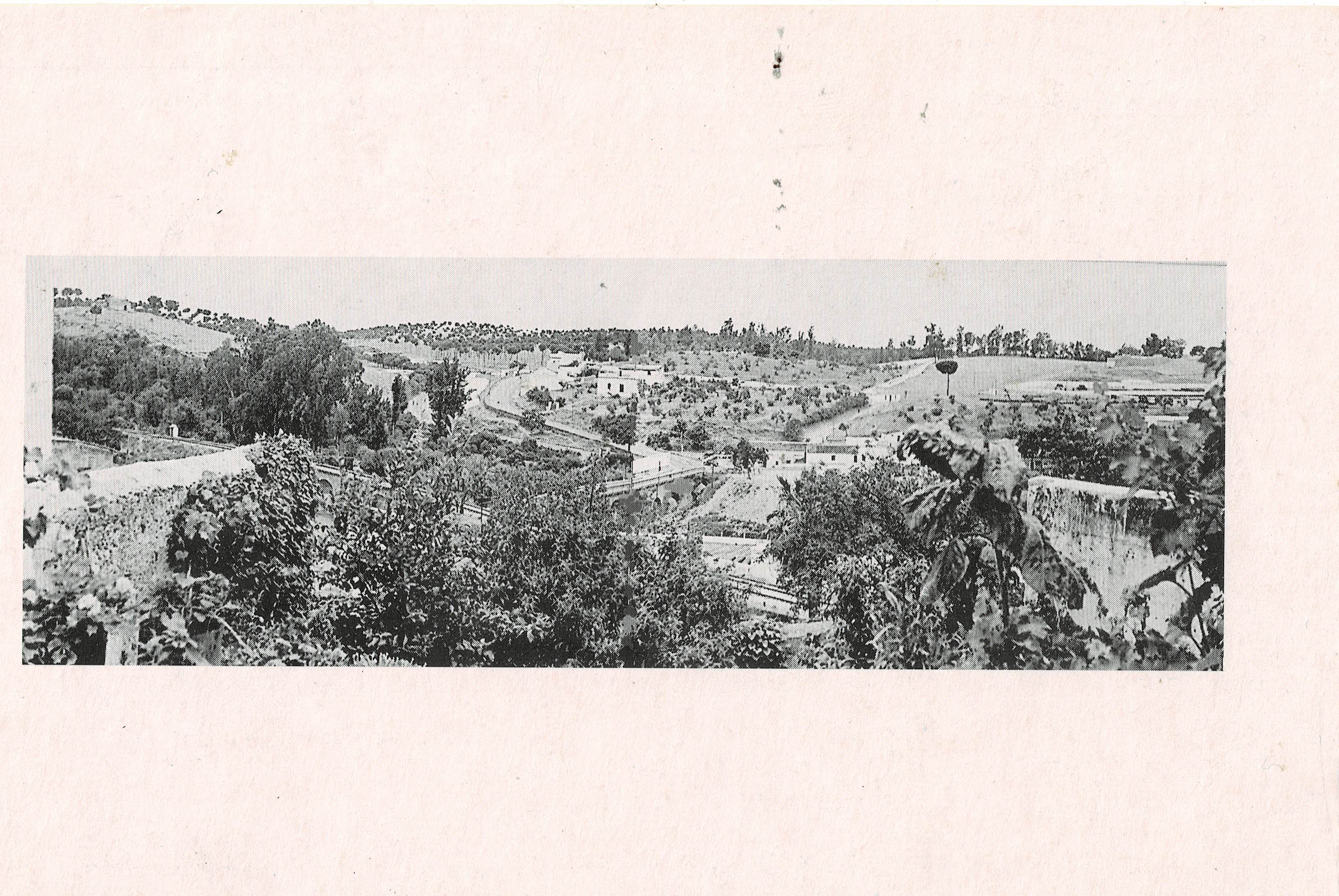POSTAL DE ALCALA DE GUADAIRA. (REPRODUCCION): PAISAJE PANORAMICO.
