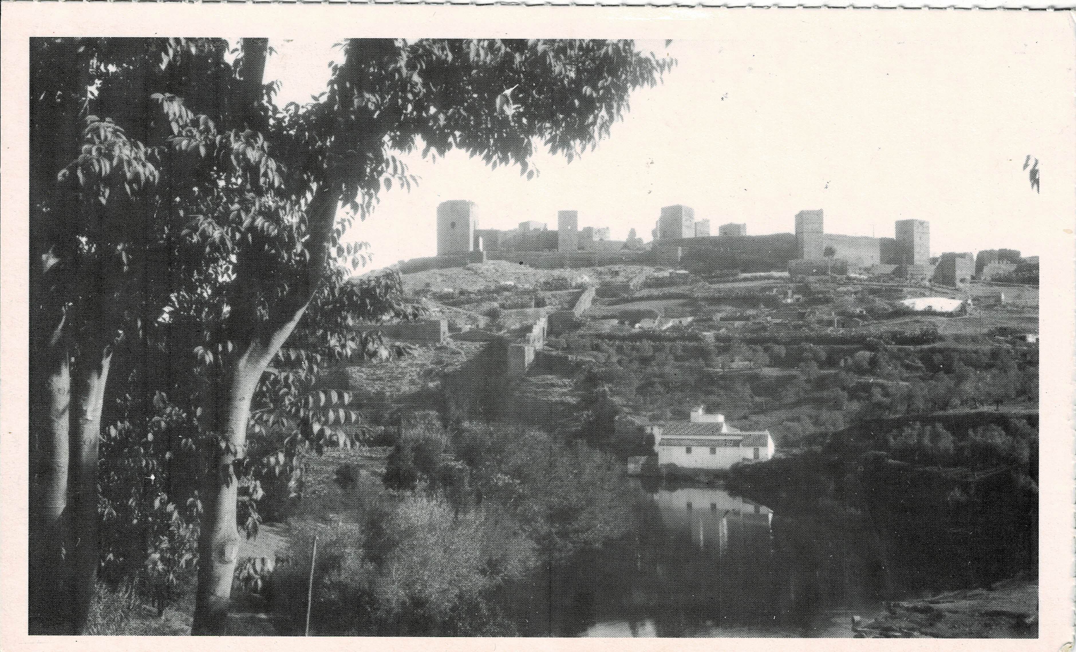 POSTAL DE ALCALA DE GUADAIRA. (REPRODUCCION): CASTILLO 1940.