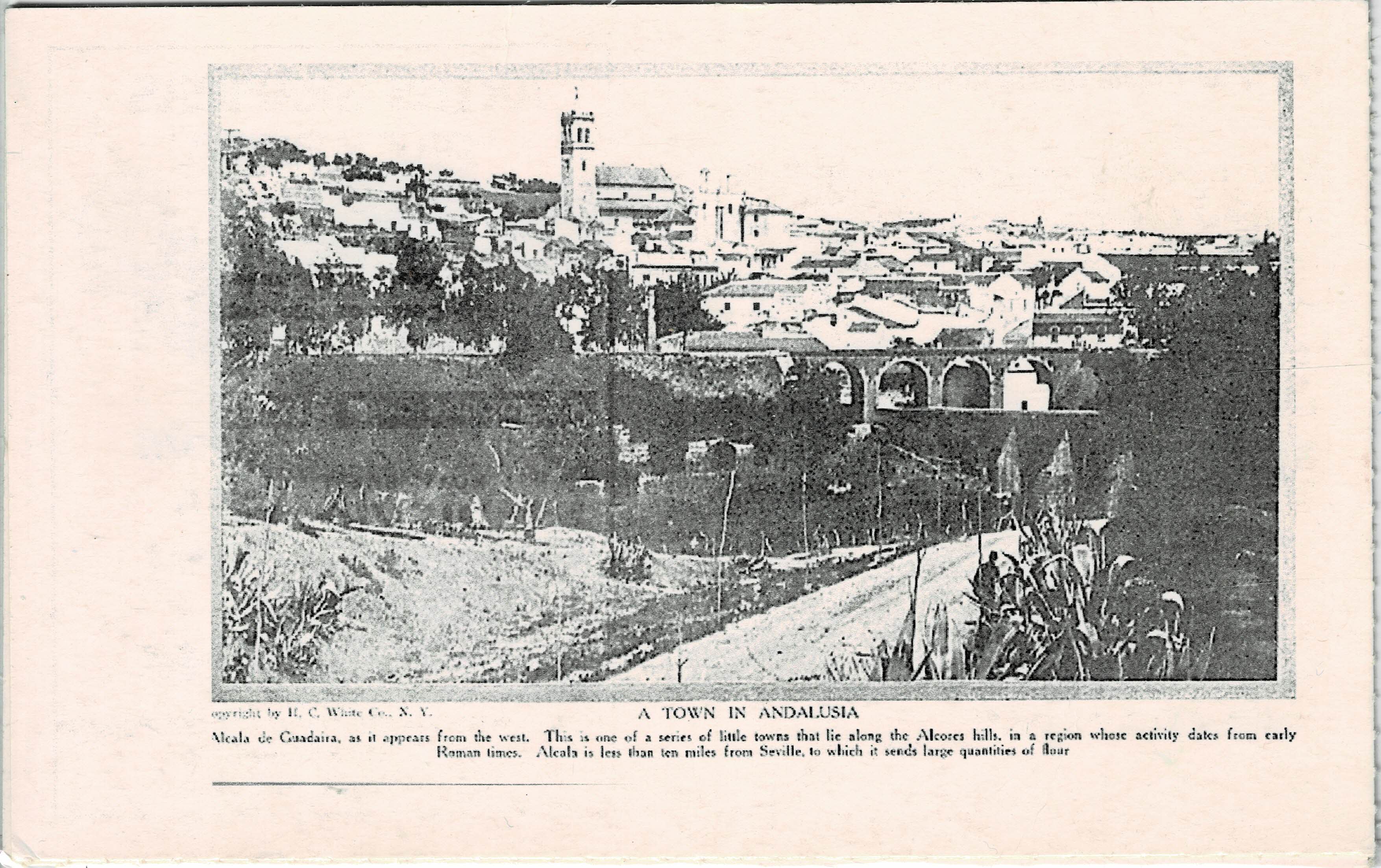 POSTAL DE ALCALA DE GUADAIRA. (REPRODUCCION): VISTA DESDE LA RETAMA.