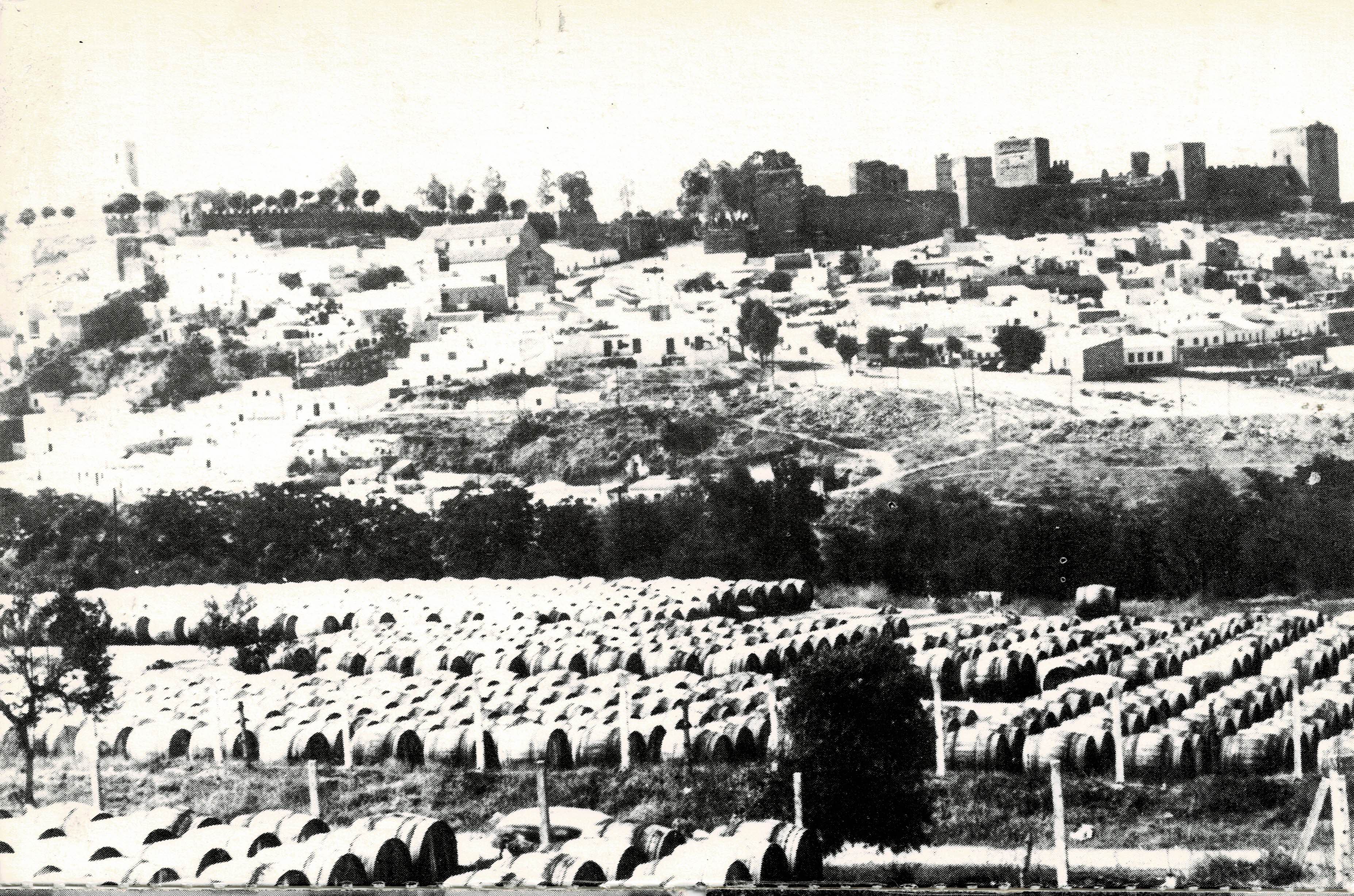 POSTAL MODERNA DE SEVILLA. ALCALA DE GUADAIRA. BOCOYES DEL ALMACEN DE LA NOCLA