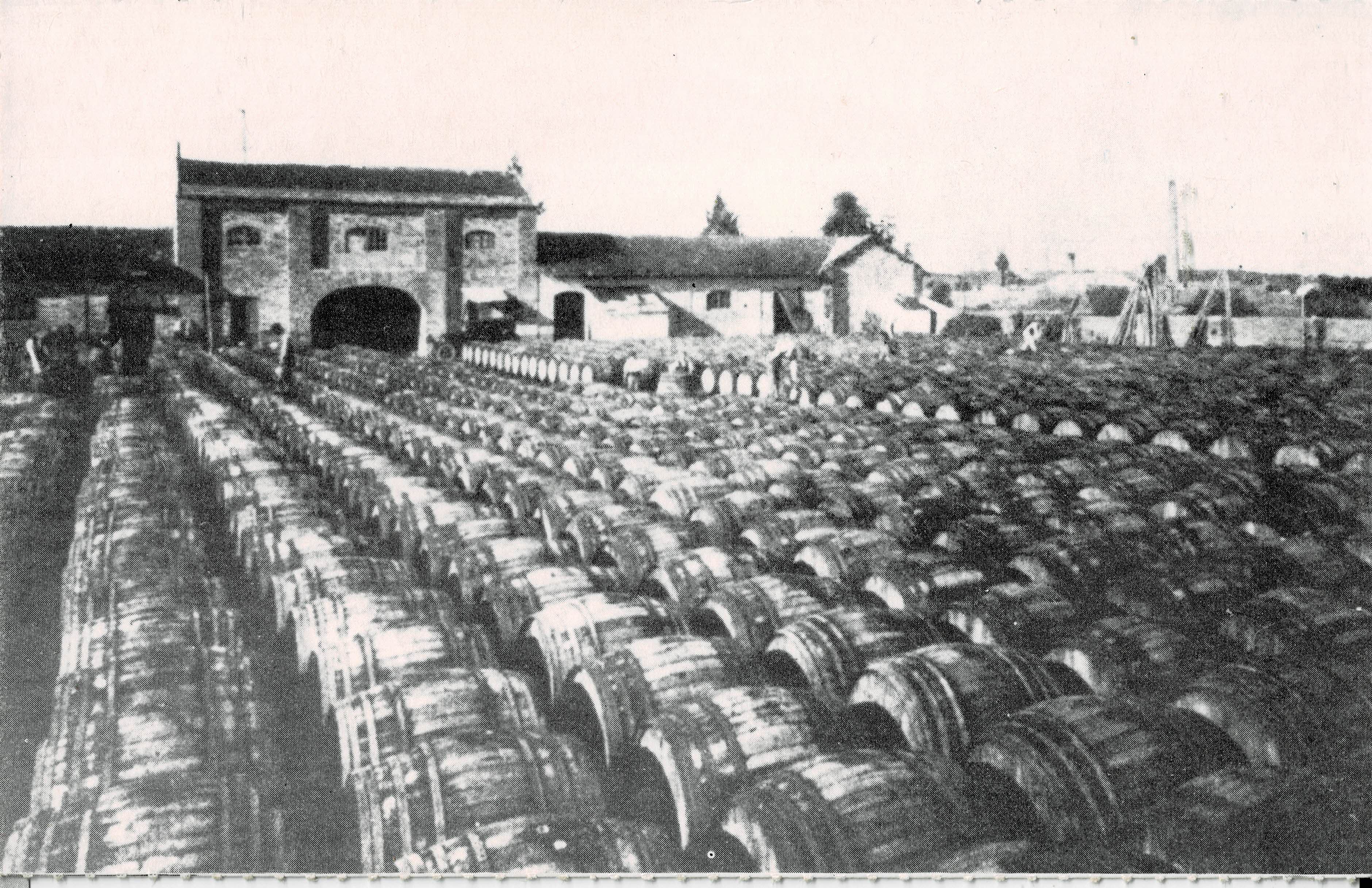 POSTAL MODERNA DE SEVILLA. ALCALA DE GUADAIRA. PATIO ALMACEN DE ACEITUNAS AÑOS 40