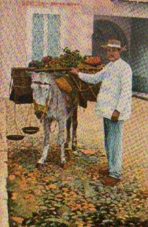 POSTAL ANTIGUA DE SEVILLA. UN HORTELANO.