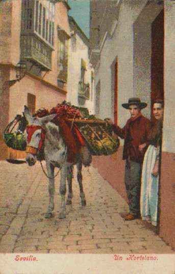 POSTAL ANTIGUA DE SEVILLA. UN HORTELANO.