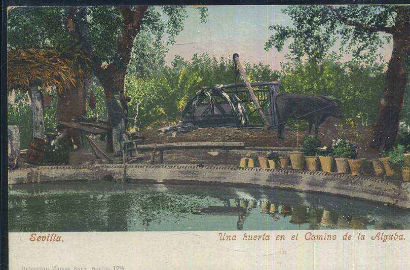 POSTAL ANTIGUA DE SEVILLA UNA HUERTA EN EL CAMINO DE LA ALGABA