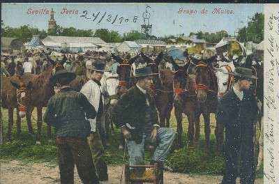 POSTAL ANTIGUA DE SEVILLA  FERIA GRUPO DE MULAS