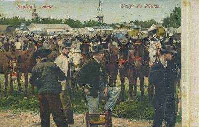 POSTAL ANTIGUA DE SEVILLA  FERIA GRUPO DE MULAS