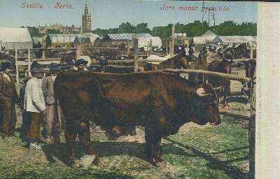 POSTAL ANTIGUA DE SEVILLA FERIA TORO MANSO PREMIADO