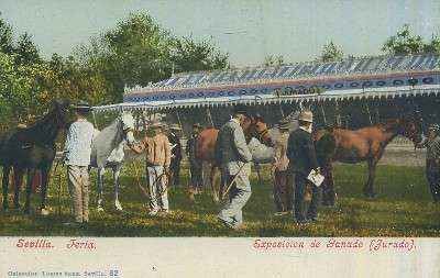 POSTAL ANTIGUA DE SEVILLA FERIA EXPOSICION DE GANADO ( JURADO )