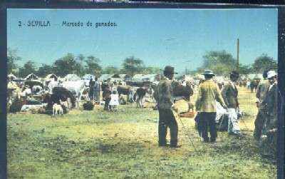 POSTAL ANTIGUA DE SEVILLA Nº 2 MERCADO DE GANADOS