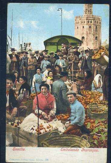 POSTAL ANTIGUA DE SEVILLA - EMBALANDO NARANJAS