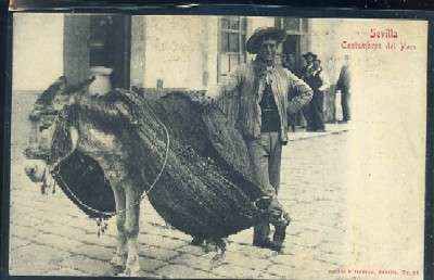 POSTAL ANTIGUA DE SEVILLA. COSTUMBRES DEL PAIS Nº 84
