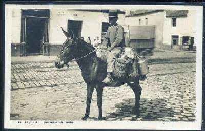 POSTAL ANTIGUA DE SEVILLA. UN VENDEDOR DE LECHE Nº 99