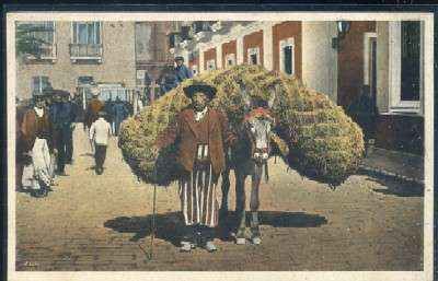 POSTAL ANTIGUA DE SEVILLA. UN VENDEDOR DE PAJA Nº 12