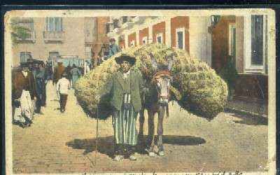POSTAL ANTIGUA DE SEVILLA. UN VENDEDOR DE PAJA