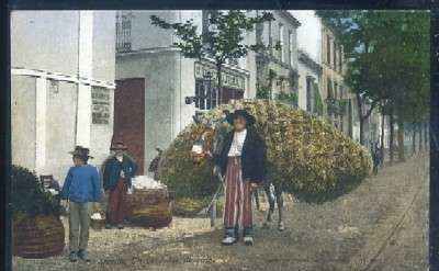 POSTAL ANTIGUA DE SEVILLA. EL VENDEDOR DE PAJA