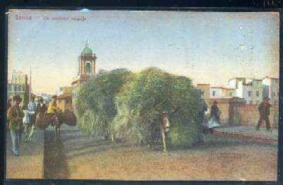 POSTAL ANTIGUA DE SEVILLA. UN VENDEDOR DE PAJA