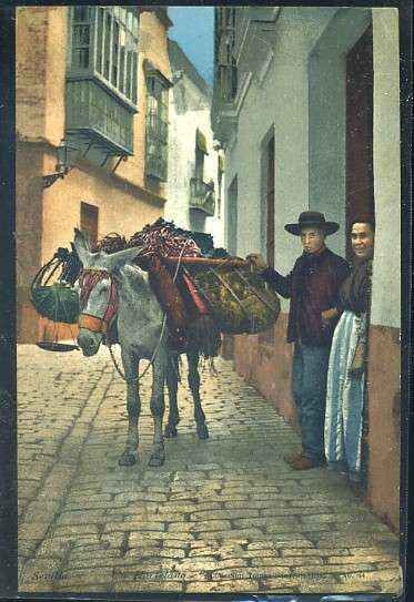 POSTAL ANTIGUA DE SEVILLA. UN HORTELANO