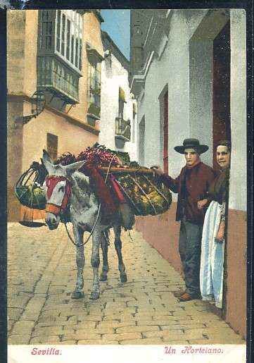 POSTAL ANTIGUA DE SEVILLA. UN HORTELANO