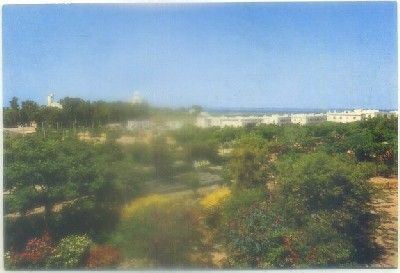 POSTAL DE SAN FERNANDO. CADIZ. PARQUE ALMIRANTE LAULHE