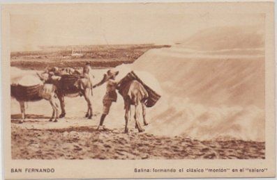 POSTAL DE SAN FERNANDO. CADIZ. SALINA. FORMANDO EL CLASICO MONTON EN EL SALERO