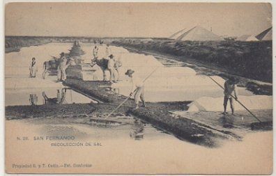 POSTAL ANTIGUA DE SAN FERNANDO. CADIZ. Nº 28. RECOLECCIÓN DE SAL
