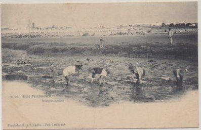 POSTAL ANTIGUA DE SAN FERNANDO. CADIZ. Nº 25. MARISCANDO