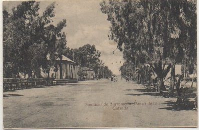 POSTAL DE SANLUCAR DE BARRAMEDA. CADIZ. PASEO DE LA CALZADA