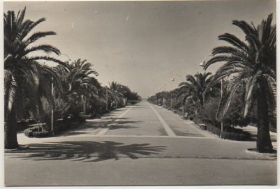 POSTAL DE CADIZ - SANLUCAR DE BARRAMEDA CALZADA DEL EJERCITO