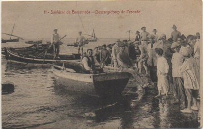 POSTAL ANTIGUA DE SANLUCAR DE BARRAMEDA. CADIZ. Nº 11 DESCARGADORES DE PESCADO