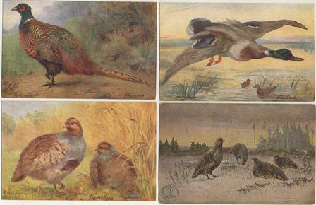 POSTALES DE ARTE. DIBUJOS DE AVES Y PERROS