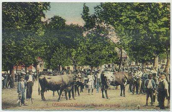 POSTAL ANTIGUA DE ASTURIAS (REPRODUCCION). CARVAVEDO. MERCADO DE GANADO