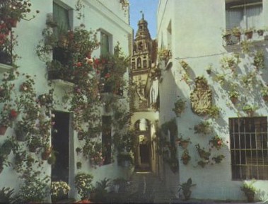 BLOC POSTAL. 20 POSTALES DE CORDOBA FORMATO ACORDEON. 10,3 X 7,5 cm.