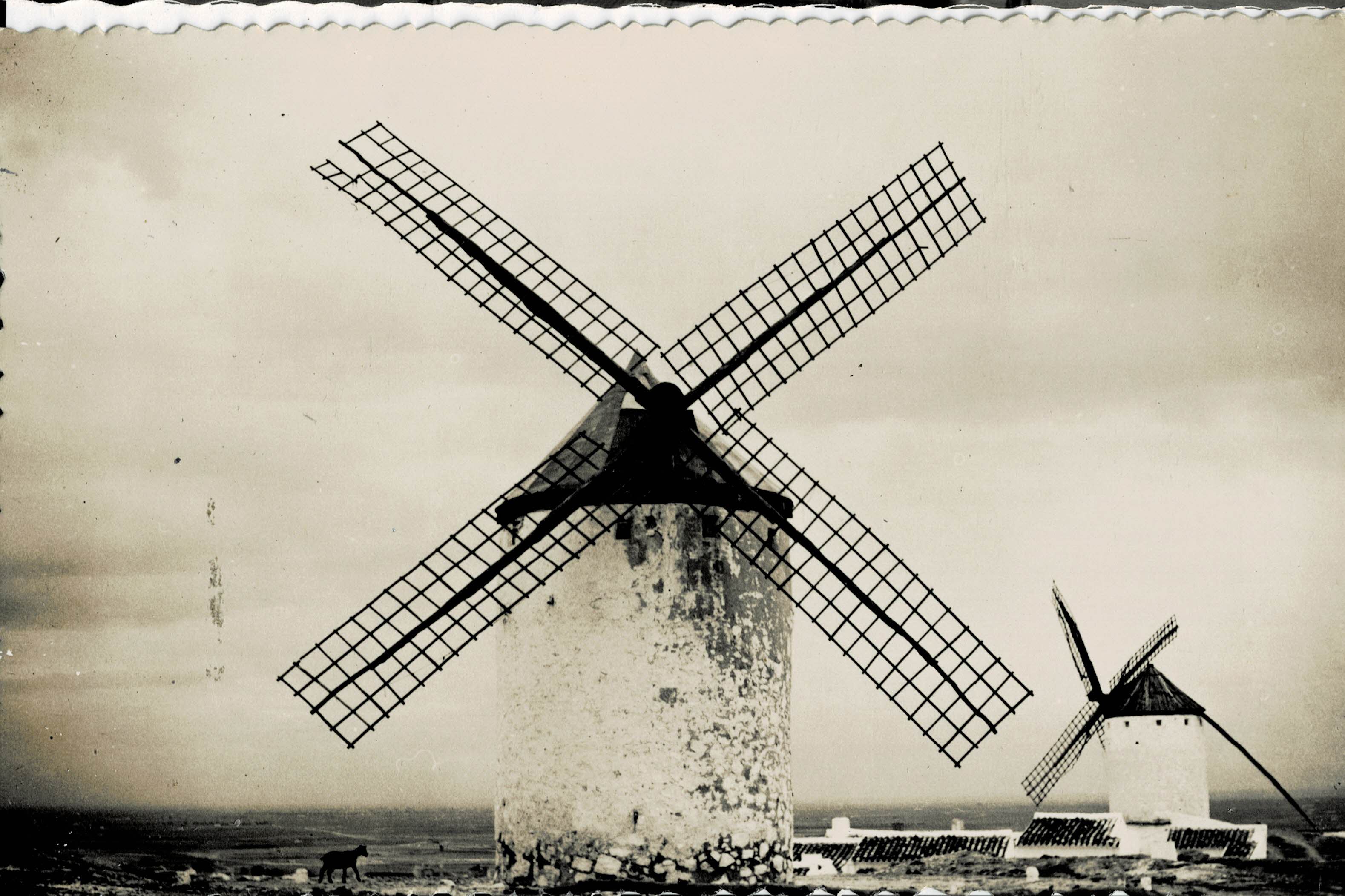 POSTAL DE CASTILLA LA MANCHA. CAMPO DE CRIPTANA. MOLINOS DE VIENTO