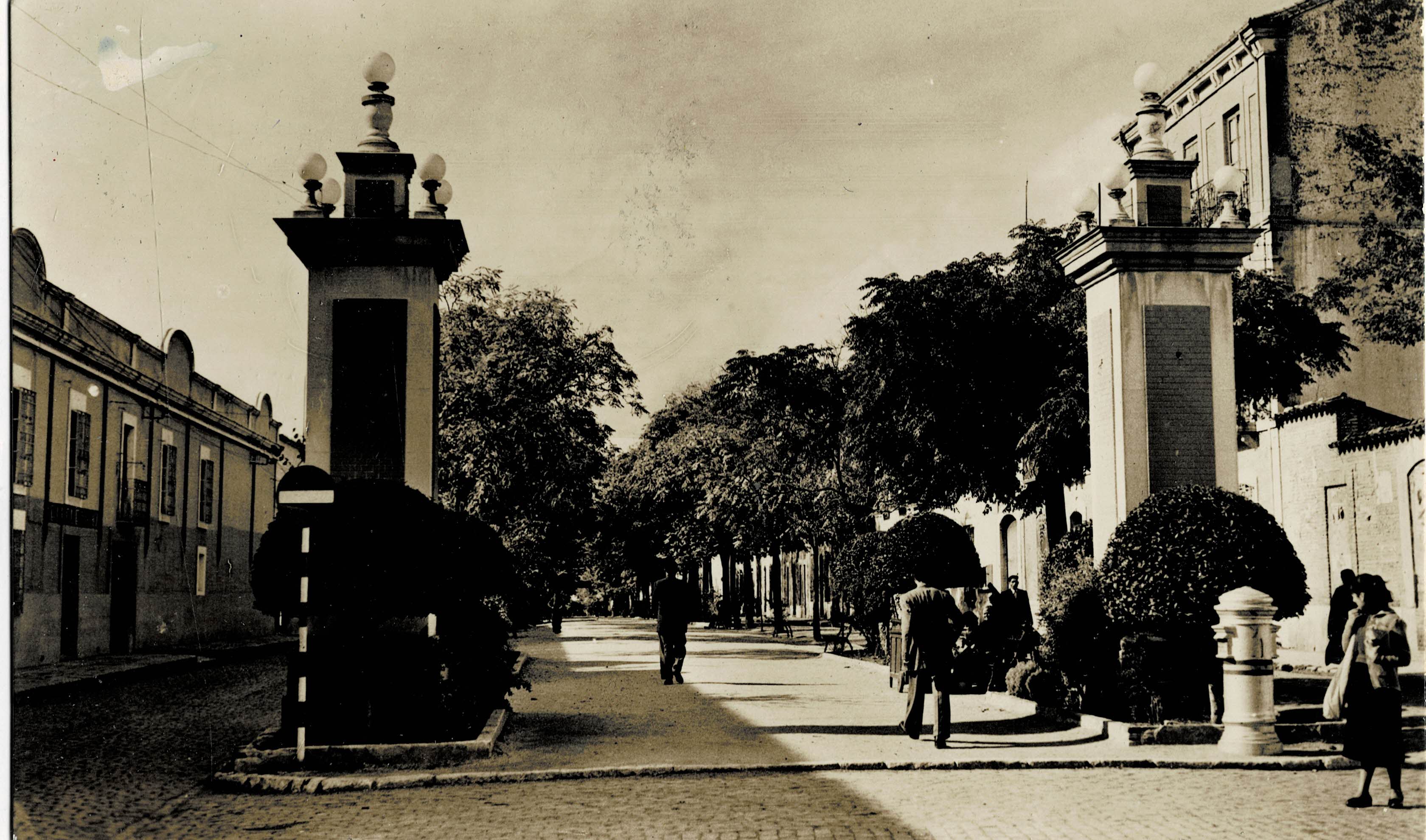 POSTAL DE CASTILLA LA MANCHA. VALDEPEÑAS. AVENIDA DEL GENERALISIMO