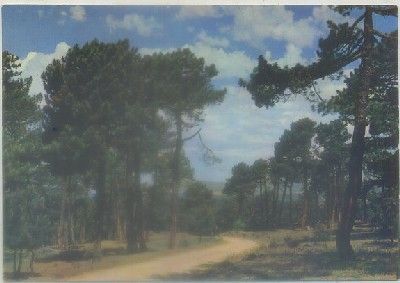 POSTAL DE AVILA. NAVAS DEL MARQUES. MURALLAS